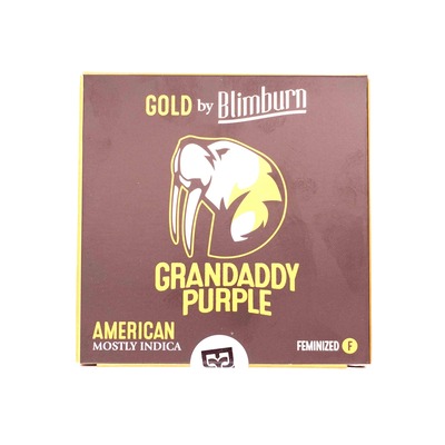 Granddaddy Purple > Blim Burn Seeds | Feminisierte Hanfsamen  |  Indica